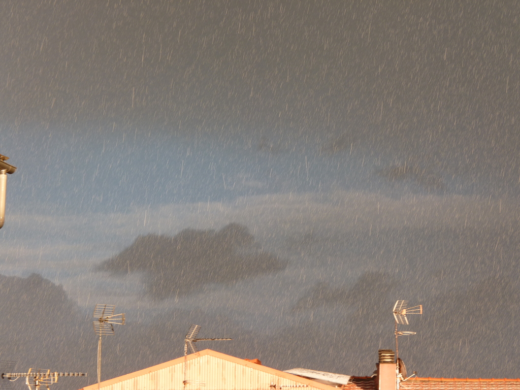 No s'ha trobat l'arxiu